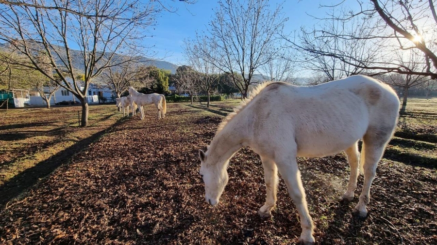 0 Bedroom Property for Sale in Montagu Rural Western Cape